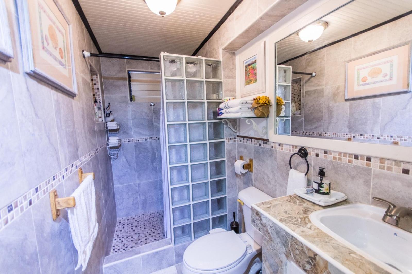 Shama'S Guest House 크리스트 처치 객실 사진